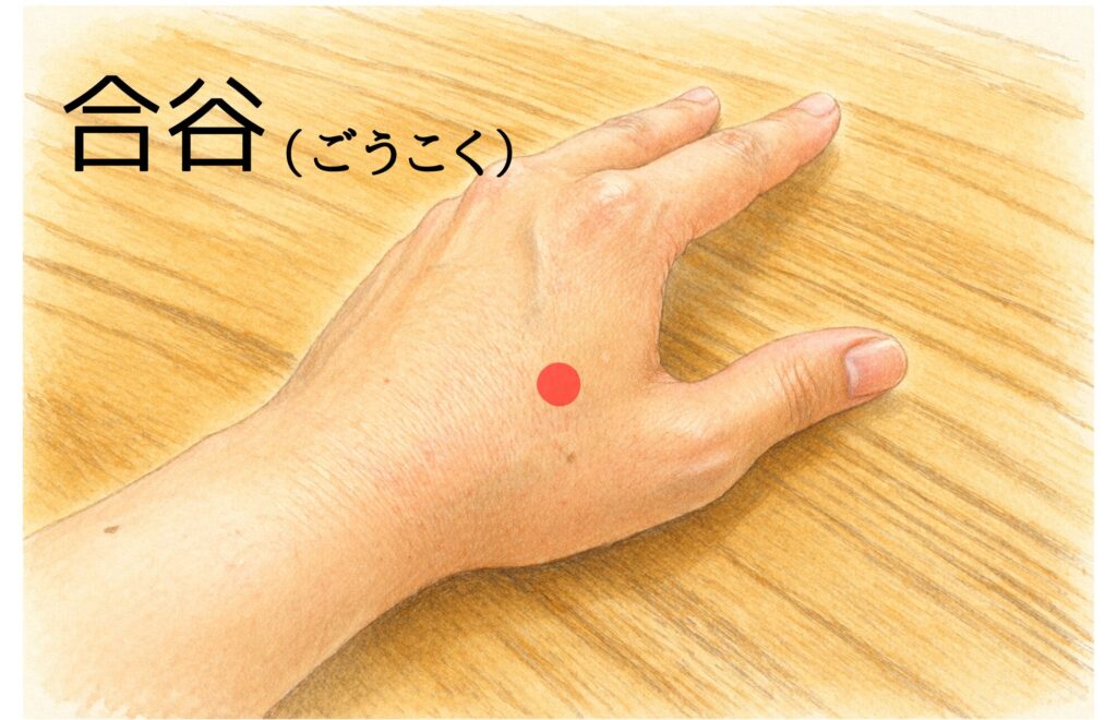合谷の場所 手の甲にあるツボ位置図